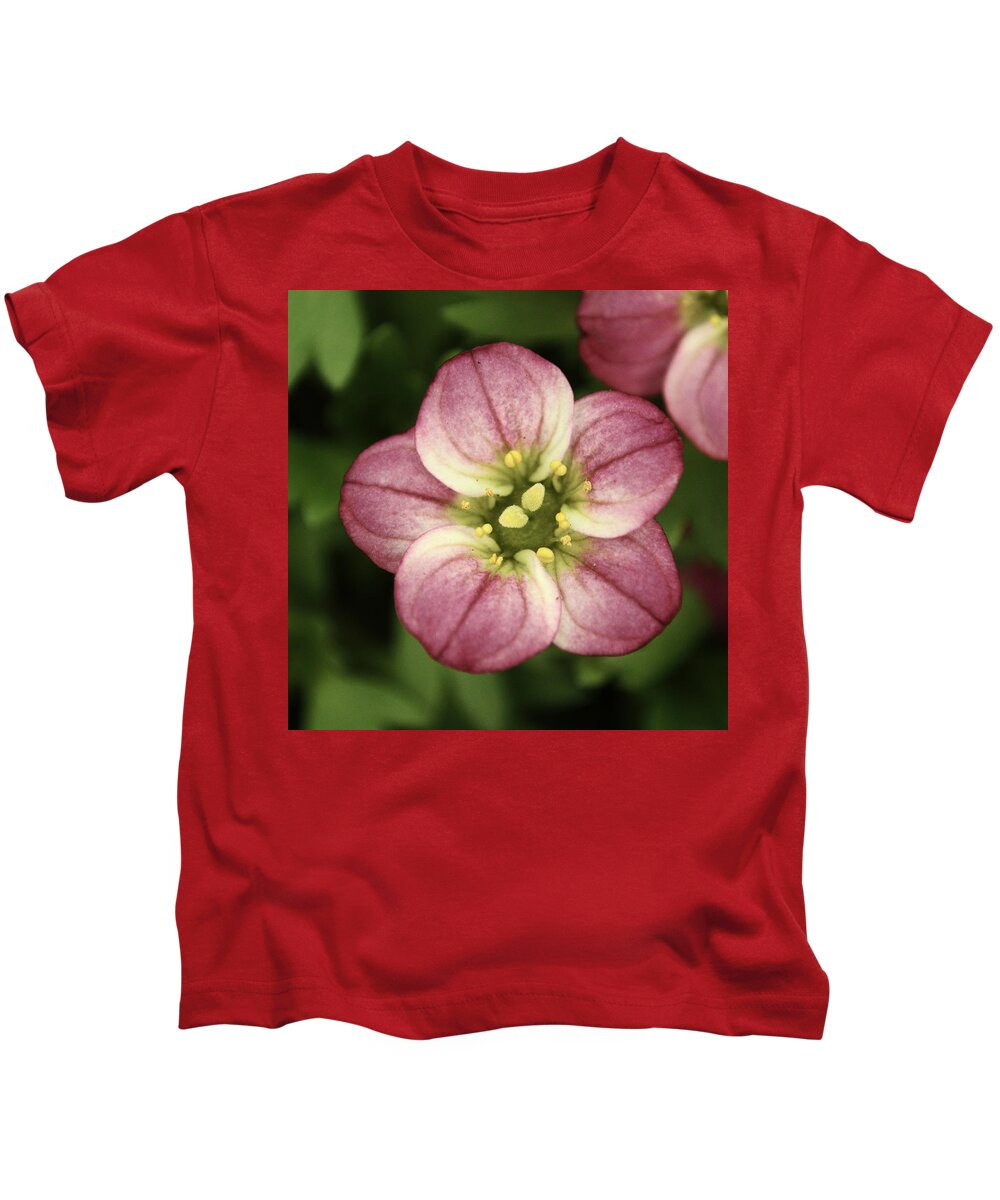 Flower Kids T-Shirt featuring the photograph Pink Saxifraga by Adrian Wale