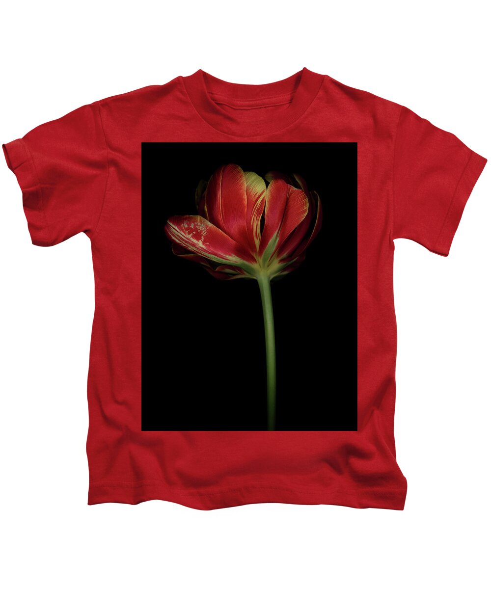 Parrot Tulip Kids T-Shirt featuring the photograph Red and Yellow Tulip 2 by Oscar Gutierrez