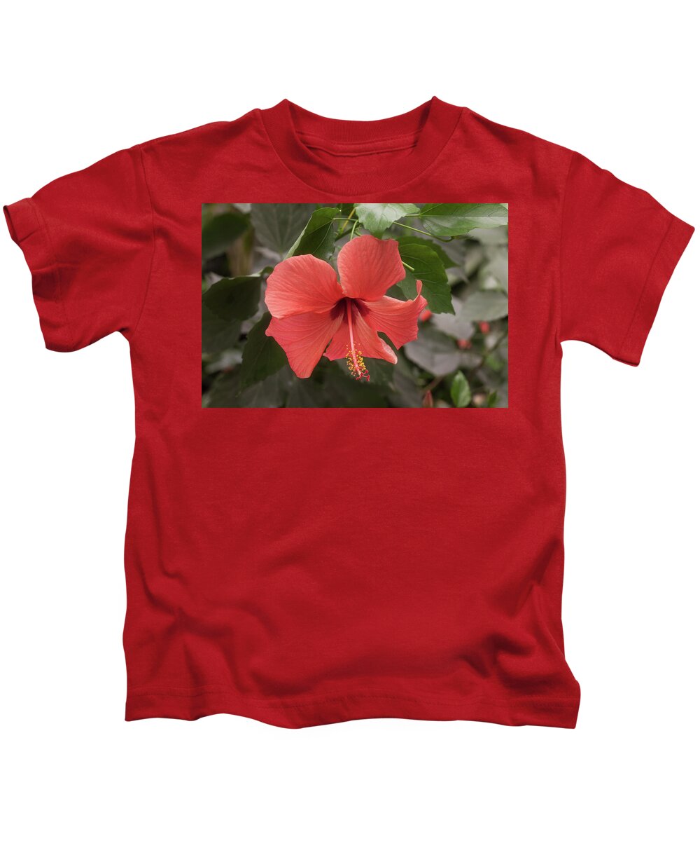Flower Kids T-Shirt featuring the photograph Red Hibiscus Flower by Tim Abeln