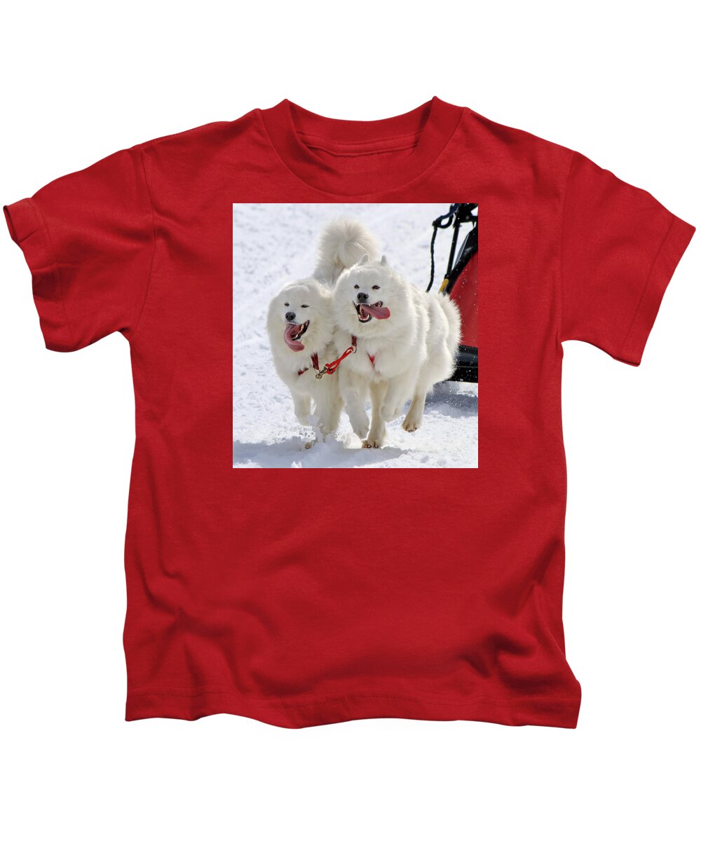 Action Kids T-Shirt featuring the photograph Samoyed sled dog team at work by Elenarts - Elena Duvernay photo