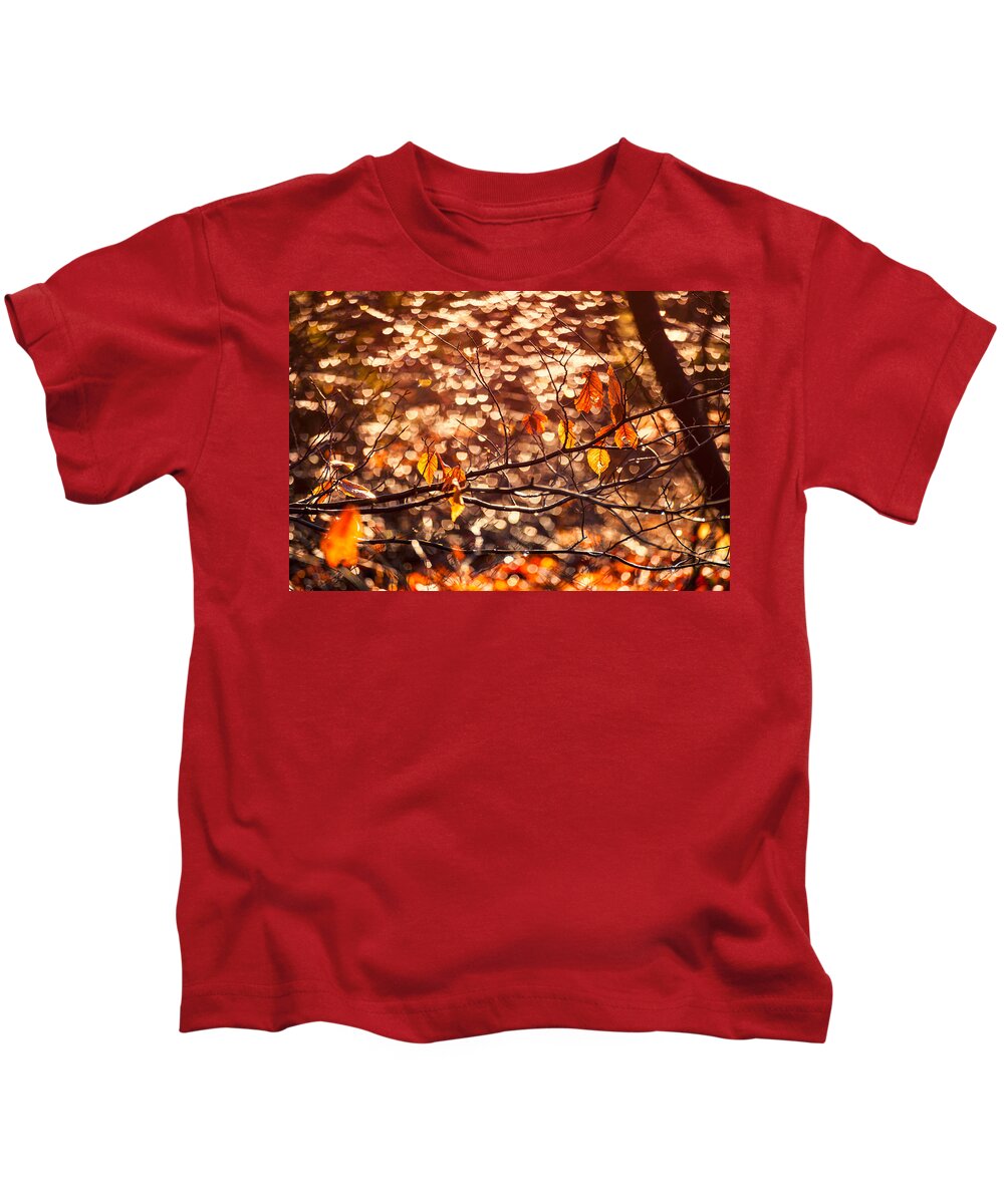 Raindrops Kids T-Shirt featuring the photograph Spotlights And Last Leaves by Irwin Barrett