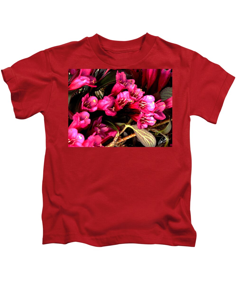 Perennial Red Shrub Pink Foliage Garden Spring Bouquet Colorful Vibrant Vivid Kids T-Shirt featuring the digital art Spring Bouquet by Leon DeVose