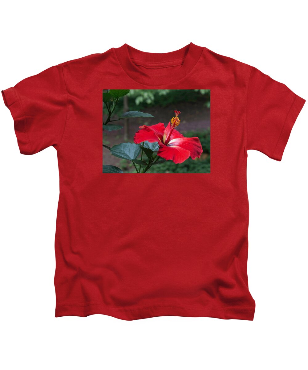 Hibiscus Kids T-Shirt featuring the photograph Vivid Hibiscus by Arlene Carmel