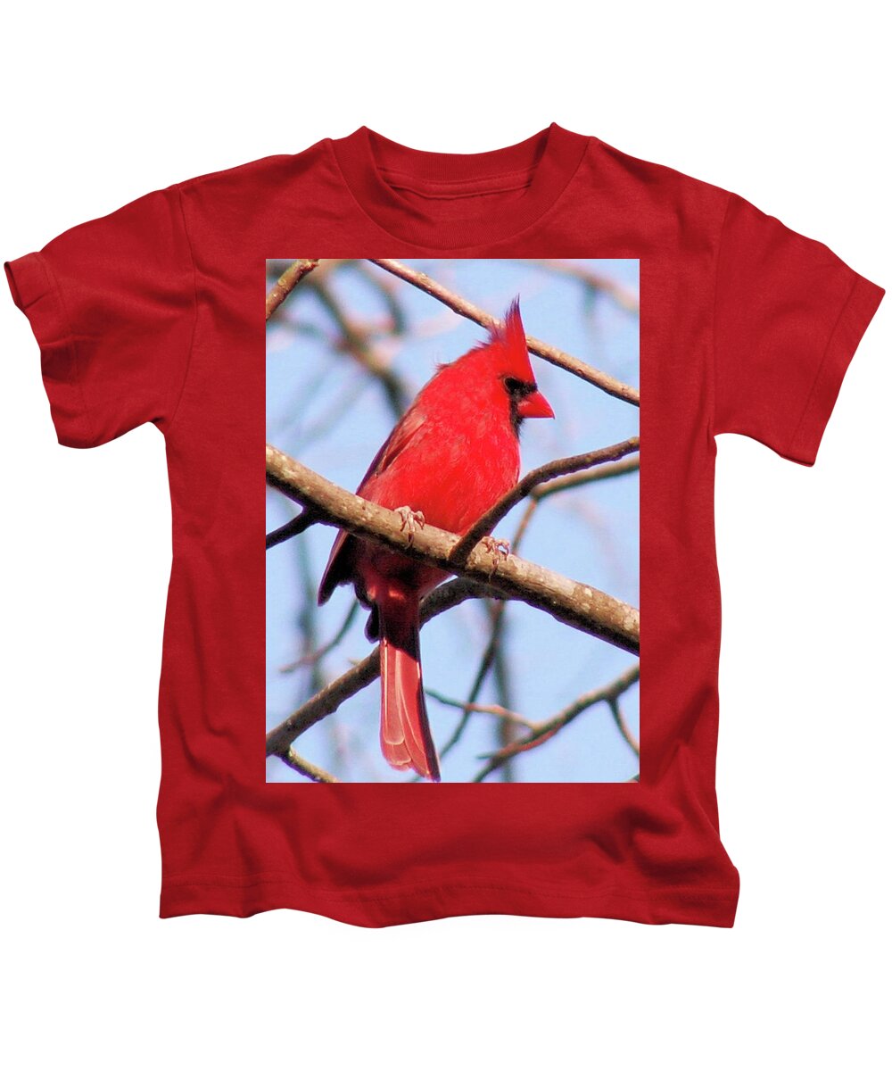 Birds Kids T-Shirt featuring the photograph Cardinal in Winter by Karen Stansberry