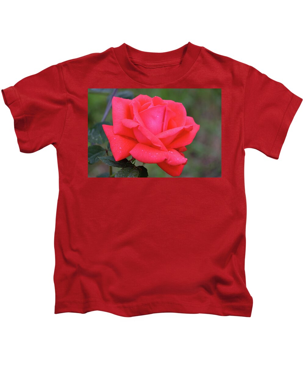 Rose Kids T-Shirt featuring the photograph Elegance by Mary Anne Delgado