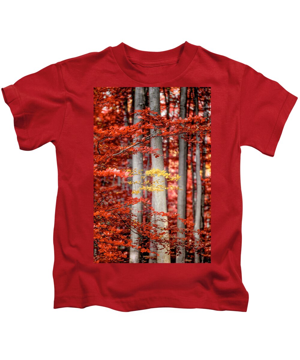 Autumn Kids T-Shirt featuring the photograph Final Moments by Philippe Sainte-Laudy