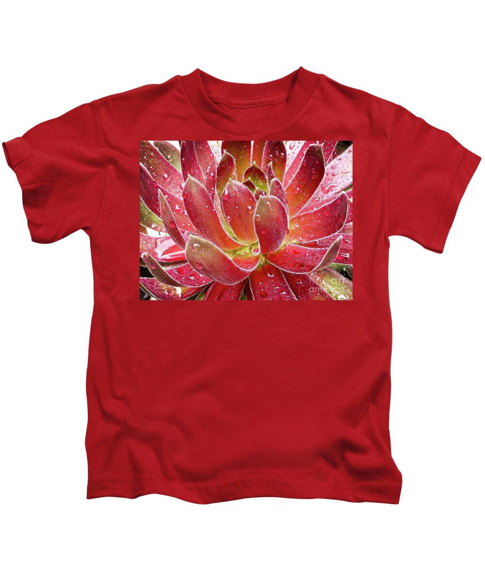 Sempervivum Inferno Kids T-Shirt featuring the photograph Magical Succulent by Fran Woods