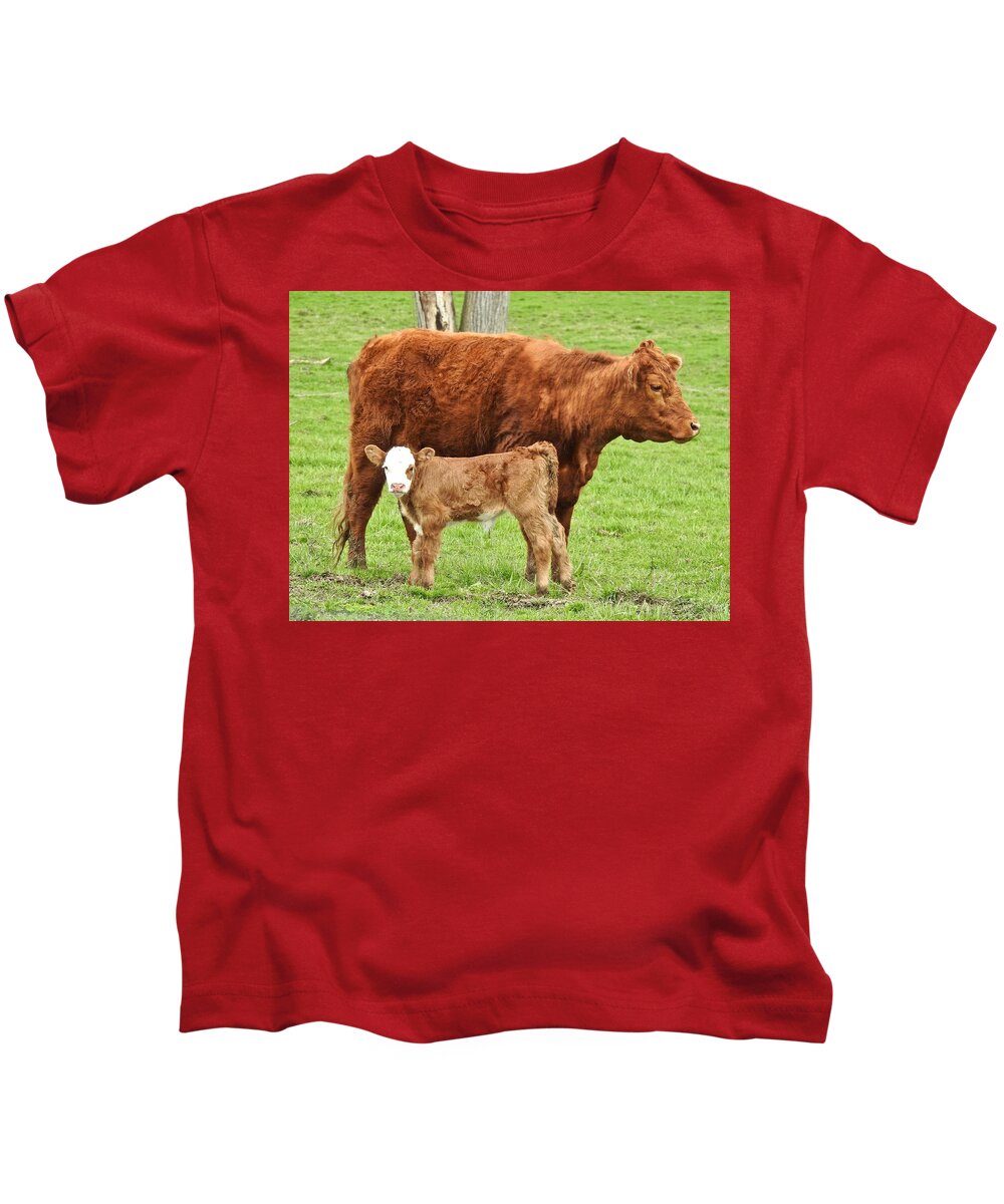 Cow Kids T-Shirt featuring the photograph Mama Cow and Baby Calf by Kathy Chism