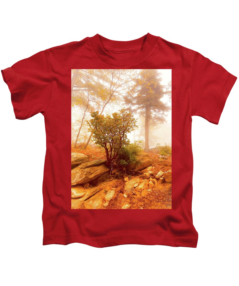Manzanita Kids T-Shirt featuring the photograph Manzanita in light by Jeremy McKay