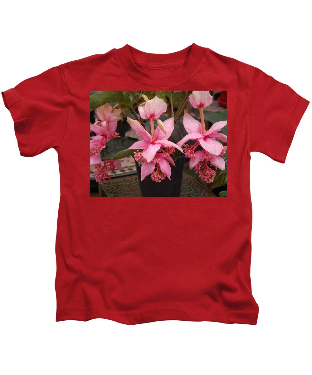 Flowers Kids T-Shirt featuring the photograph Medinilla Magnifica by Nancy Ayanna Wyatt