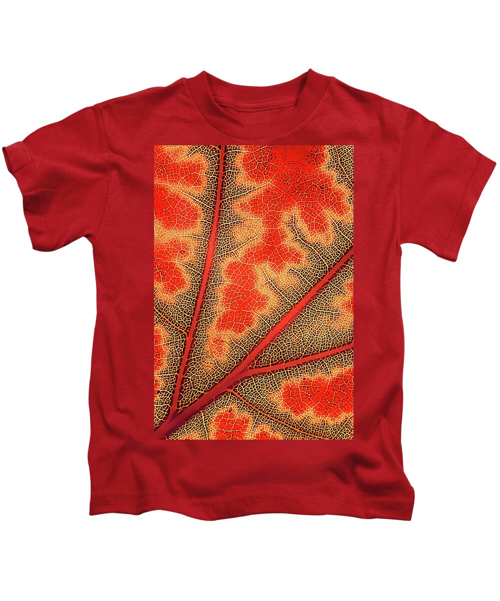 Fall Kids T-Shirt featuring the digital art Nature's Road Map by Randall Dill