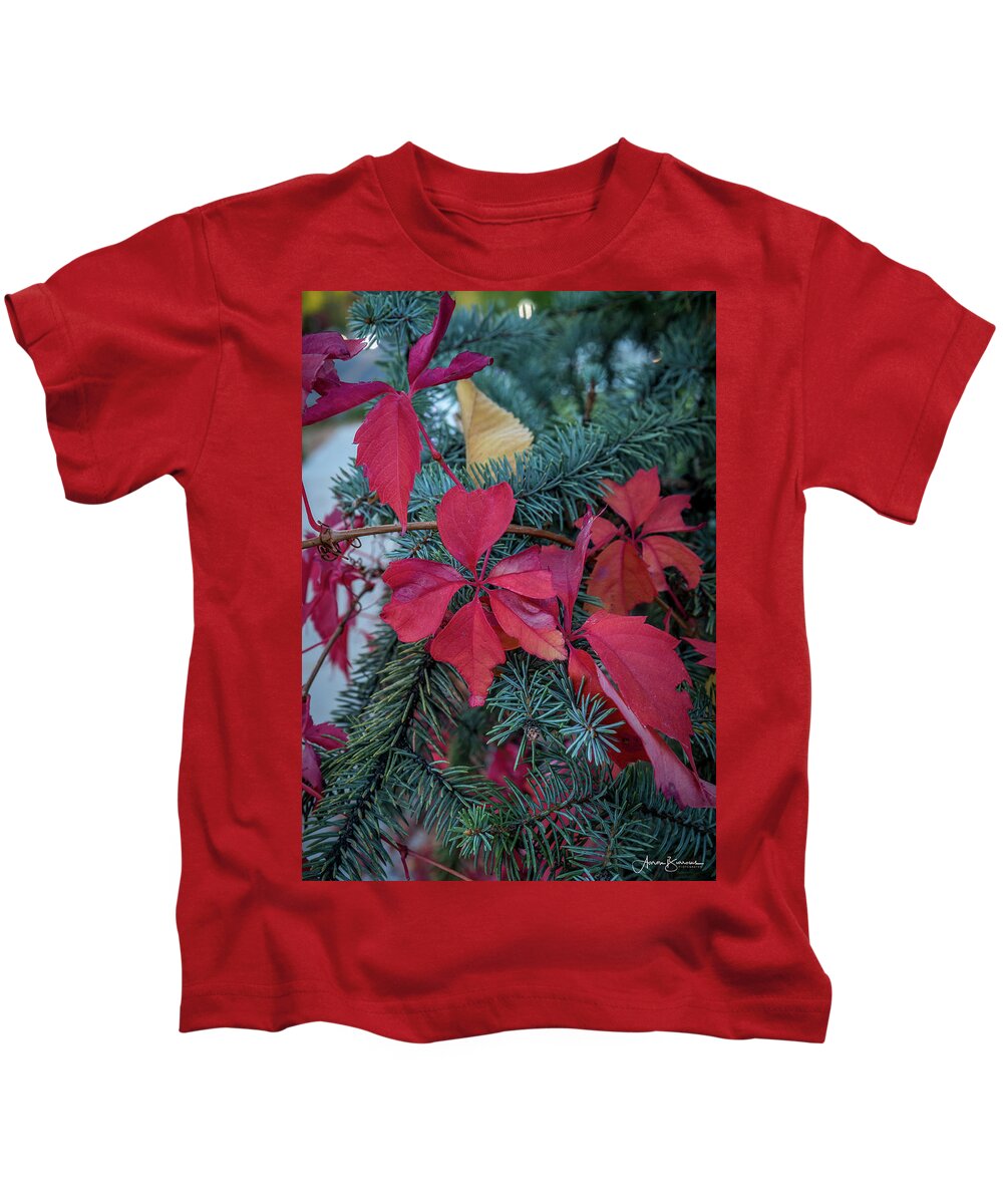 Fall Colors Kids T-Shirt featuring the photograph Reds, Yellows, and Blues by Aaron Burrows