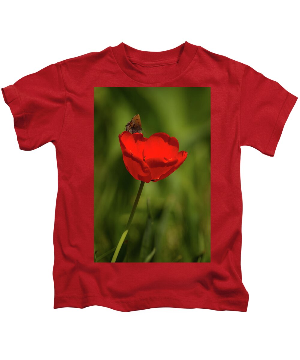 Farm Kids T-Shirt featuring the photograph Tulip and Skipper by Jeff Phillippi
