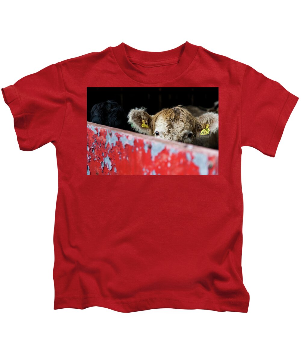 Young Cow Kids T-Shirt featuring the photograph Young blonde cow and red metal barn door by Anita Nicholson