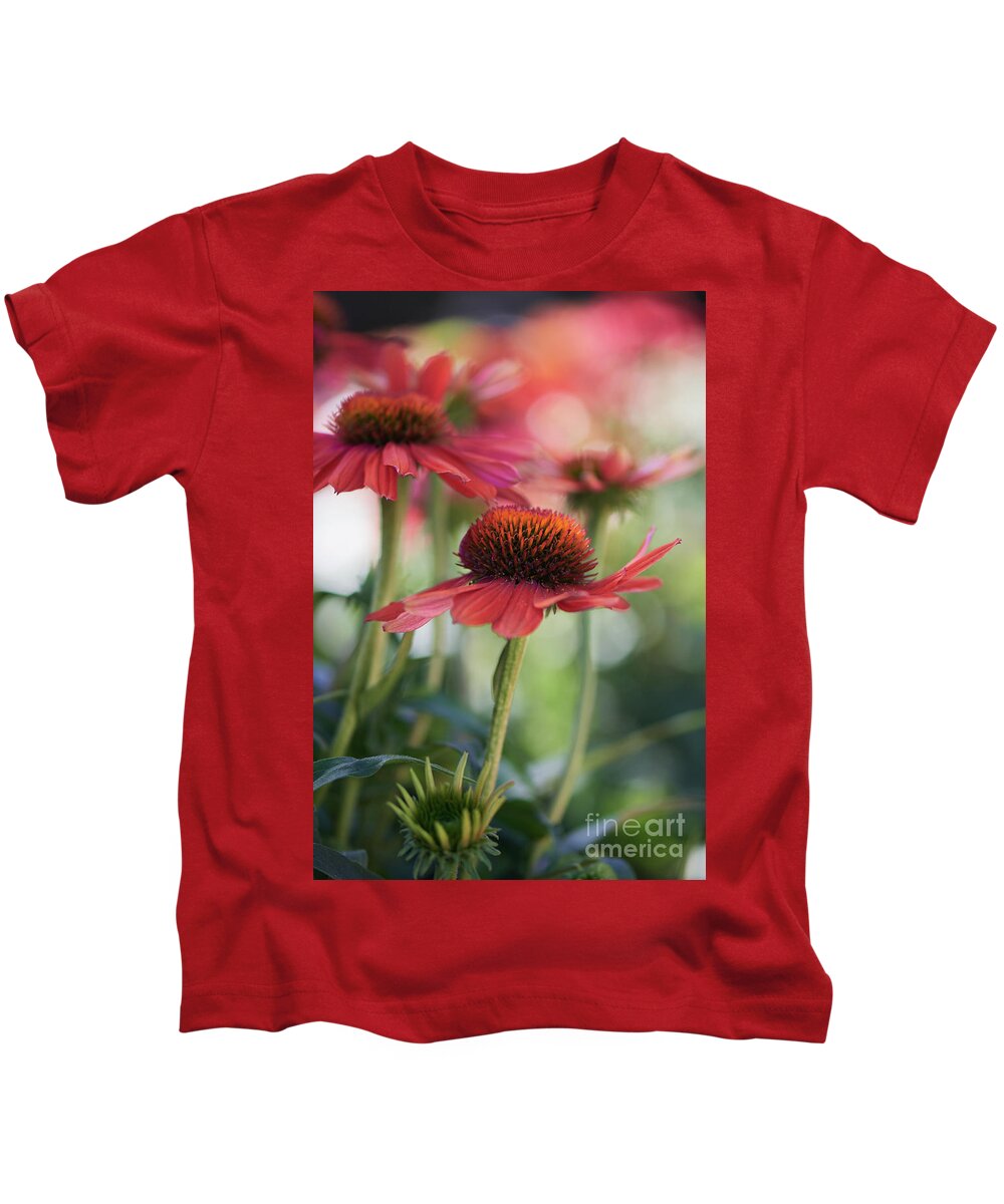 Coneflowers Kids T-Shirt featuring the photograph A shining Pink Coneflower by Abigail Diane Photography