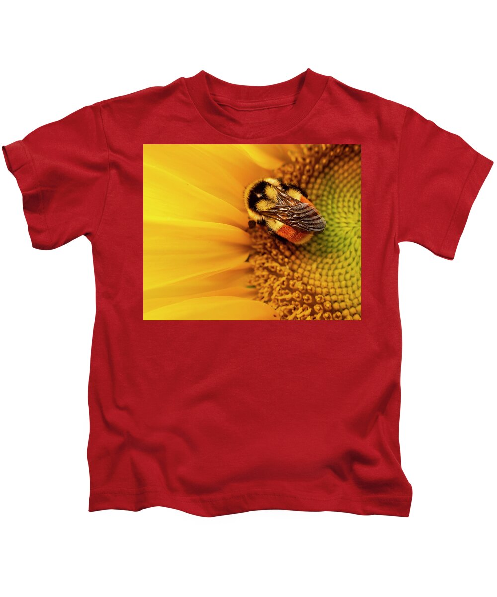 Bumblebee Kids T-Shirt featuring the photograph Bumblebee On Sunflower by Phil And Karen Rispin