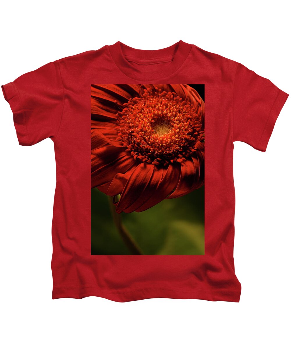 Flower Kids T-Shirt featuring the photograph Daisy 9783 by Julie Powell