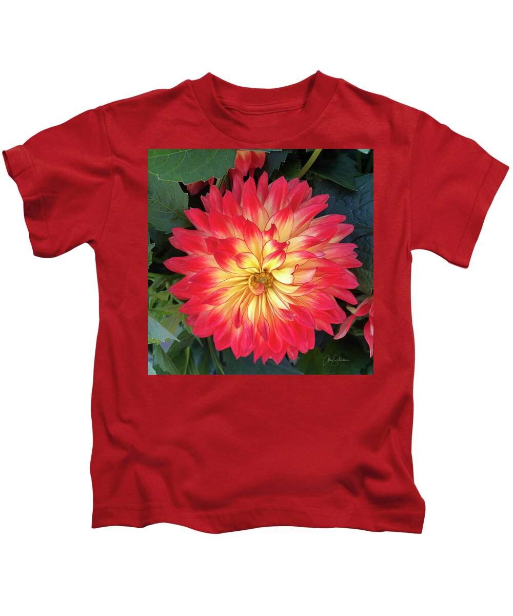 Dahlia Kids T-Shirt featuring the photograph Fiery Flower Garden Dahlia by Alice Schlesier