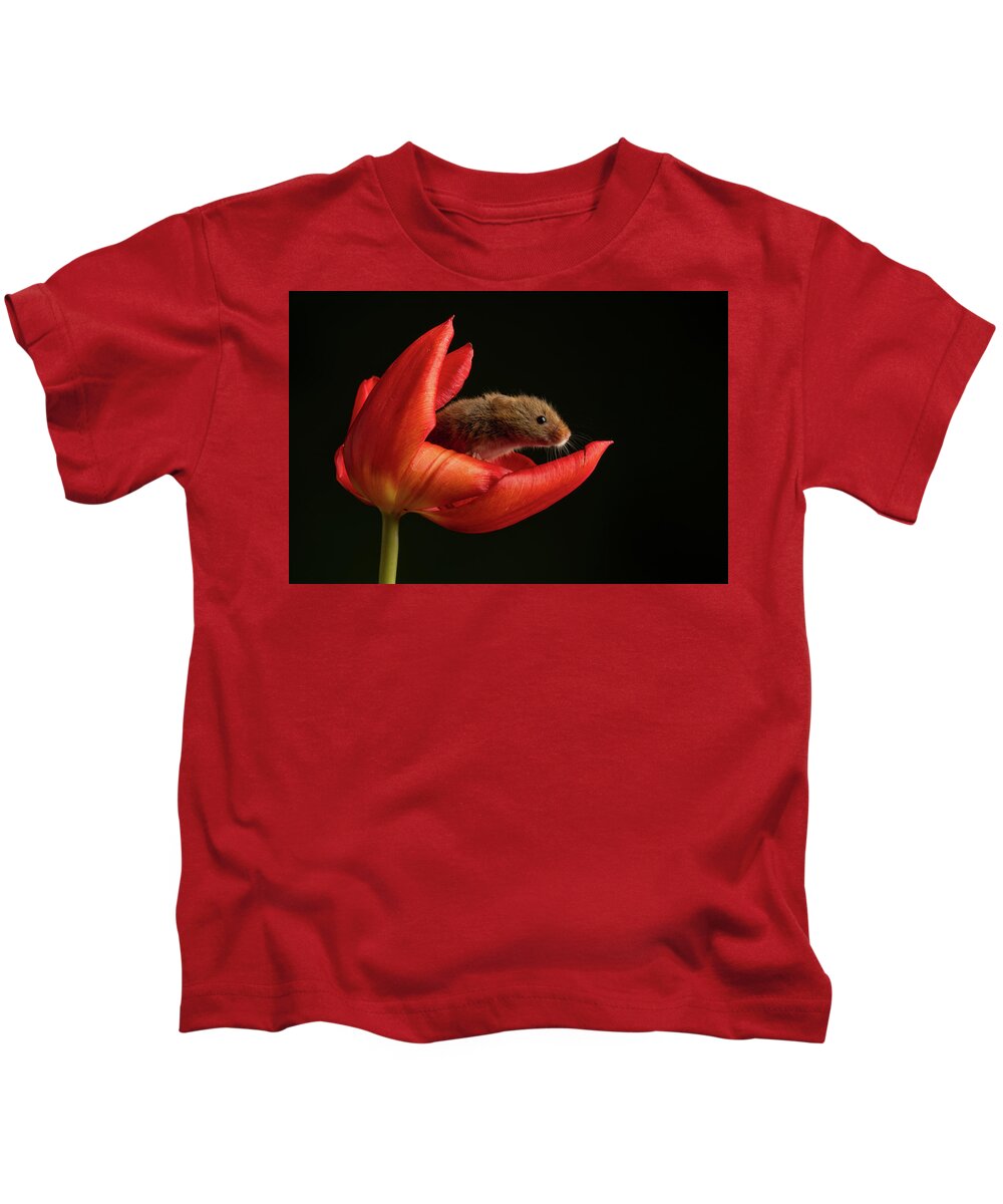Harvest Kids T-Shirt featuring the photograph Hm-5236 by Miles Herbert
