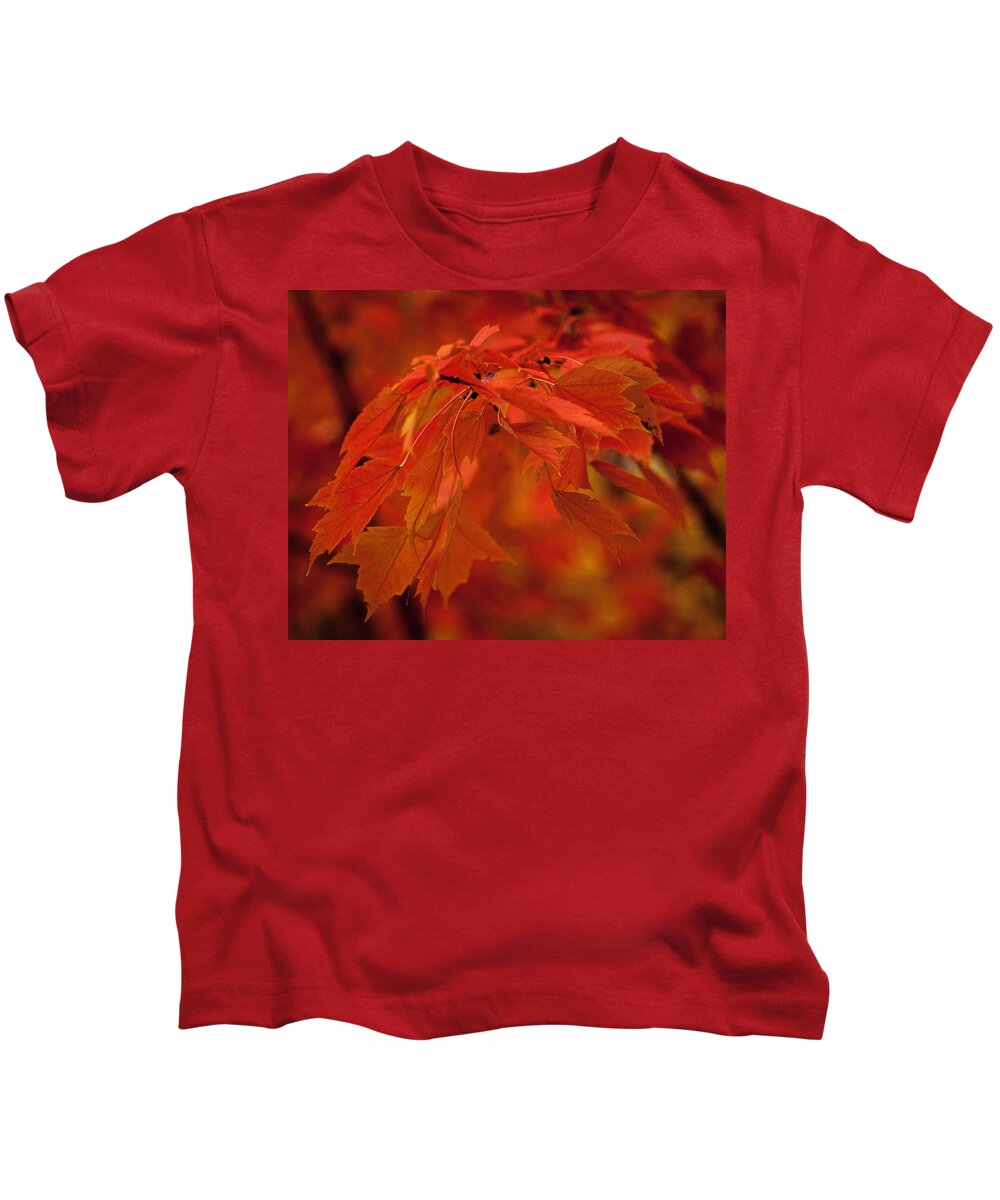 Autumn Kids T-Shirt featuring the photograph Maple Leaves I by Norman Reid