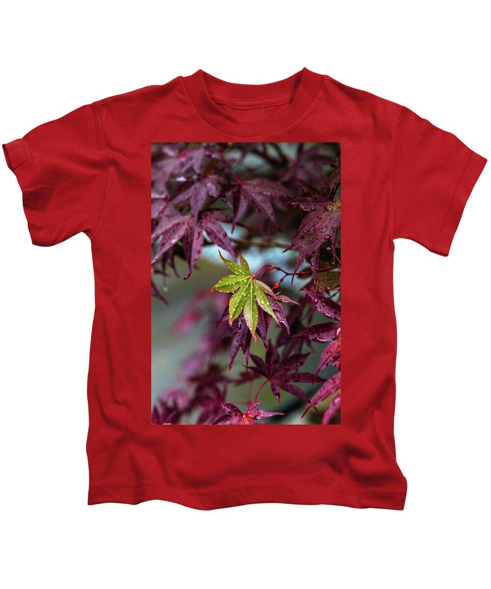 Leaf Kids T-Shirt featuring the photograph One of a Kind by Laura Roberts