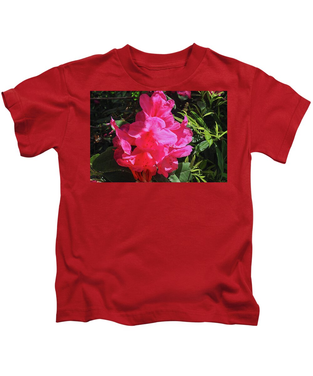 Pink Azalea Kids T-Shirt by Daniel Stanley - Pixels