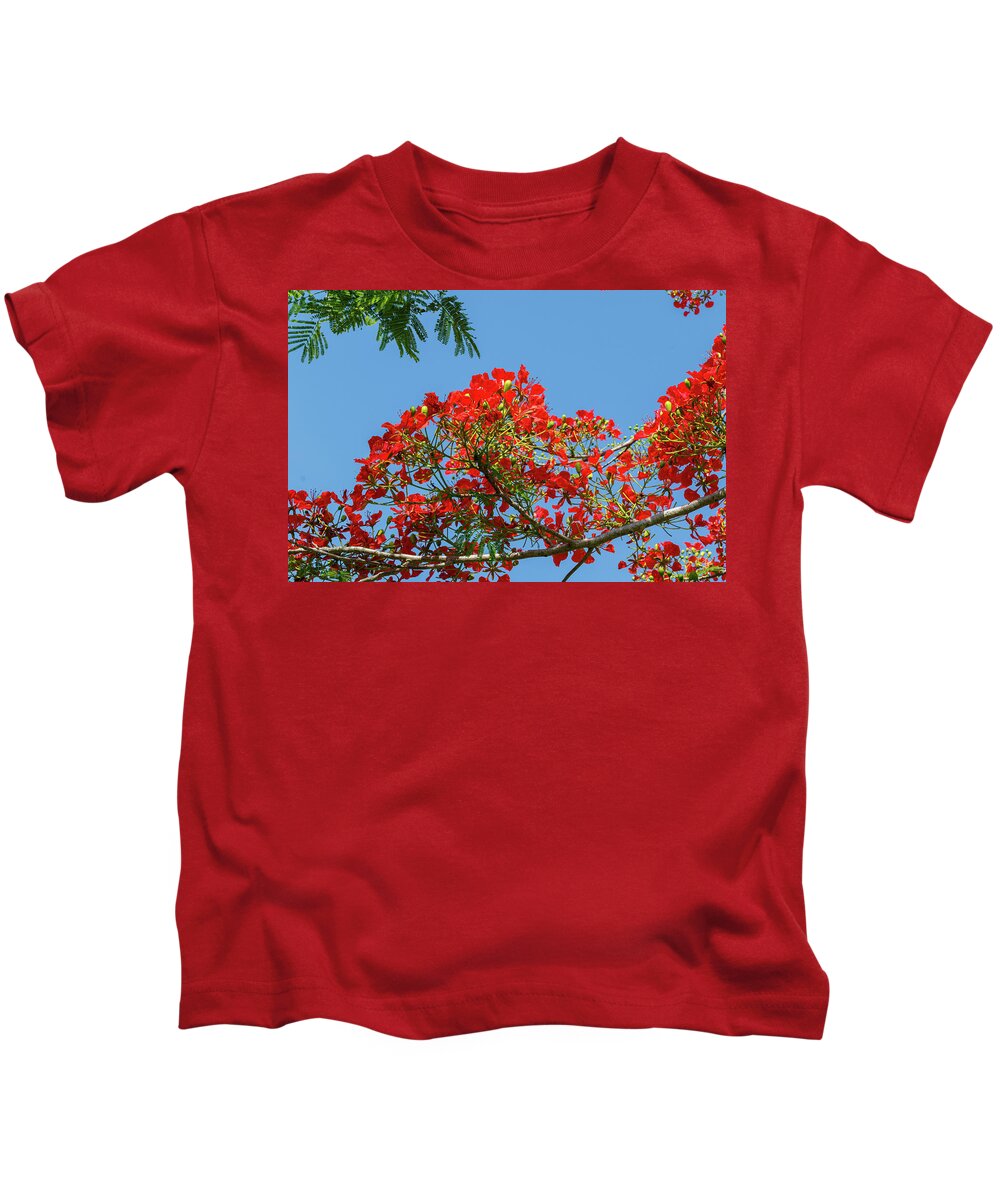 Flowers Kids T-Shirt featuring the photograph Reaching out by Les Greenwood
