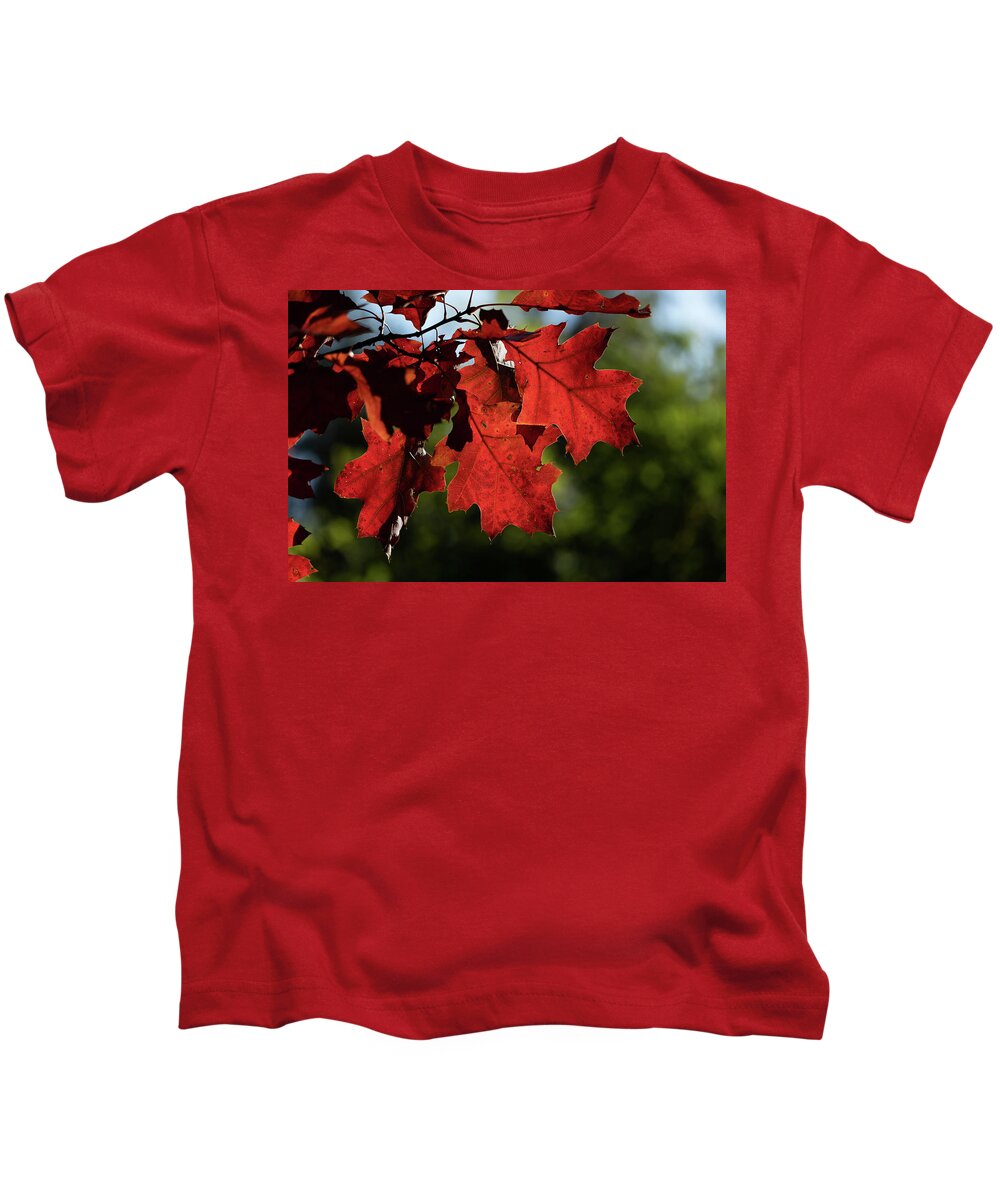 Red Kids T-Shirt featuring the photograph Red Oak Leaves In Autumn by Artur Bogacki
