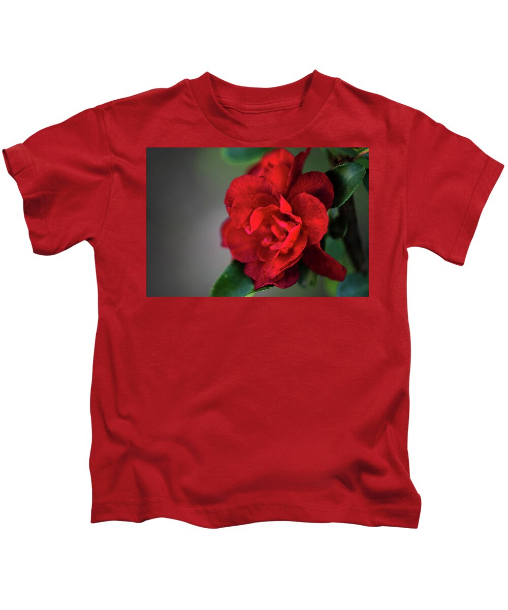 Quince Kids T-Shirt featuring the photograph Red Quince by Linda Shannon Morgan