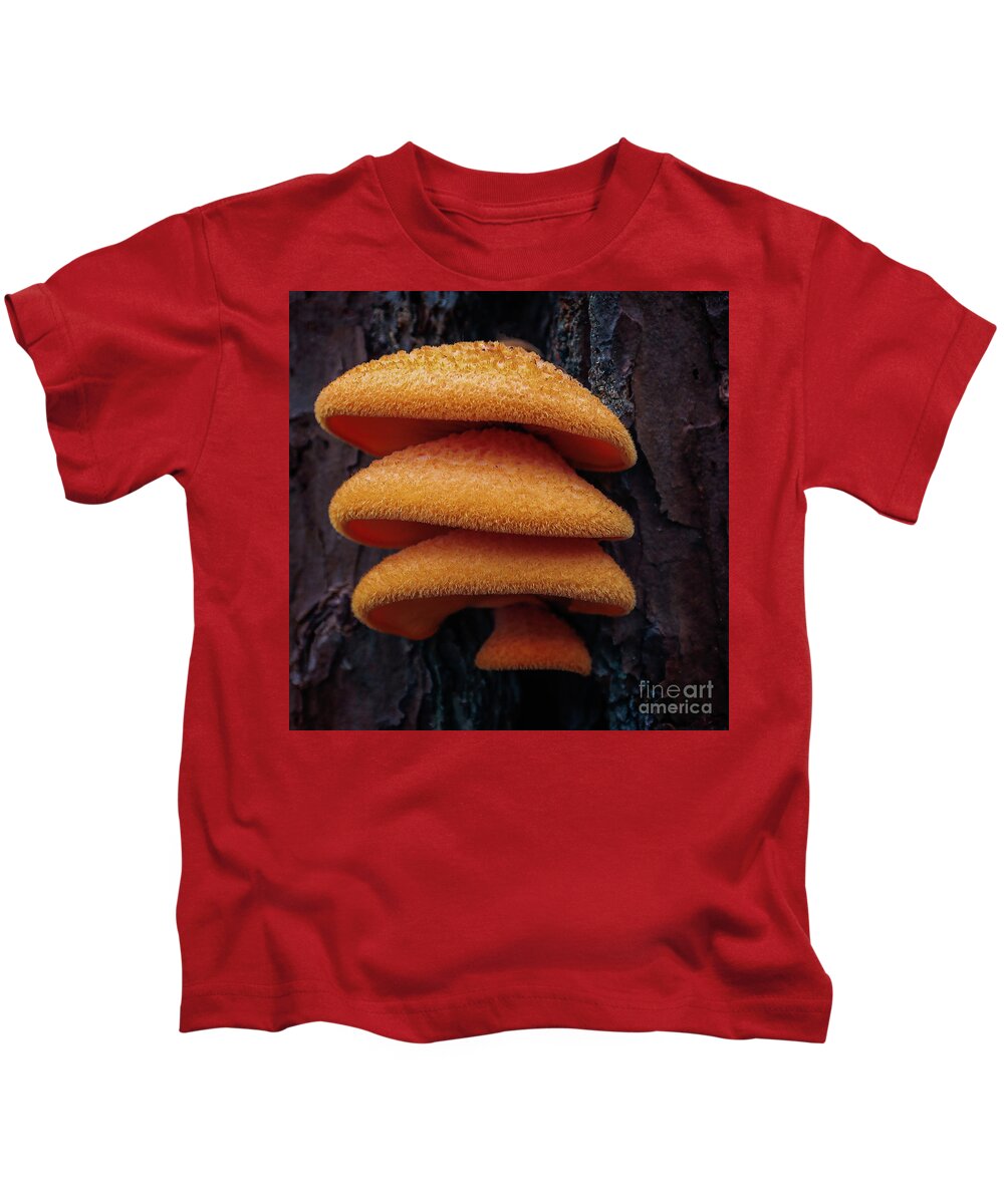 Fungi Kids T-Shirt featuring the photograph Three Amigos by Doug Sturgess