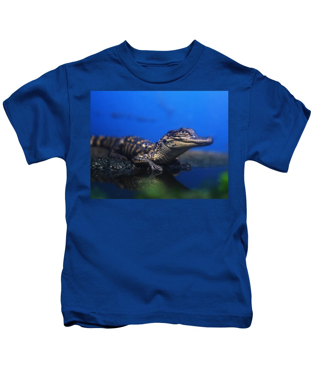 Alligator Kids T-Shirt featuring the photograph Baby Gator by Maggy Marsh