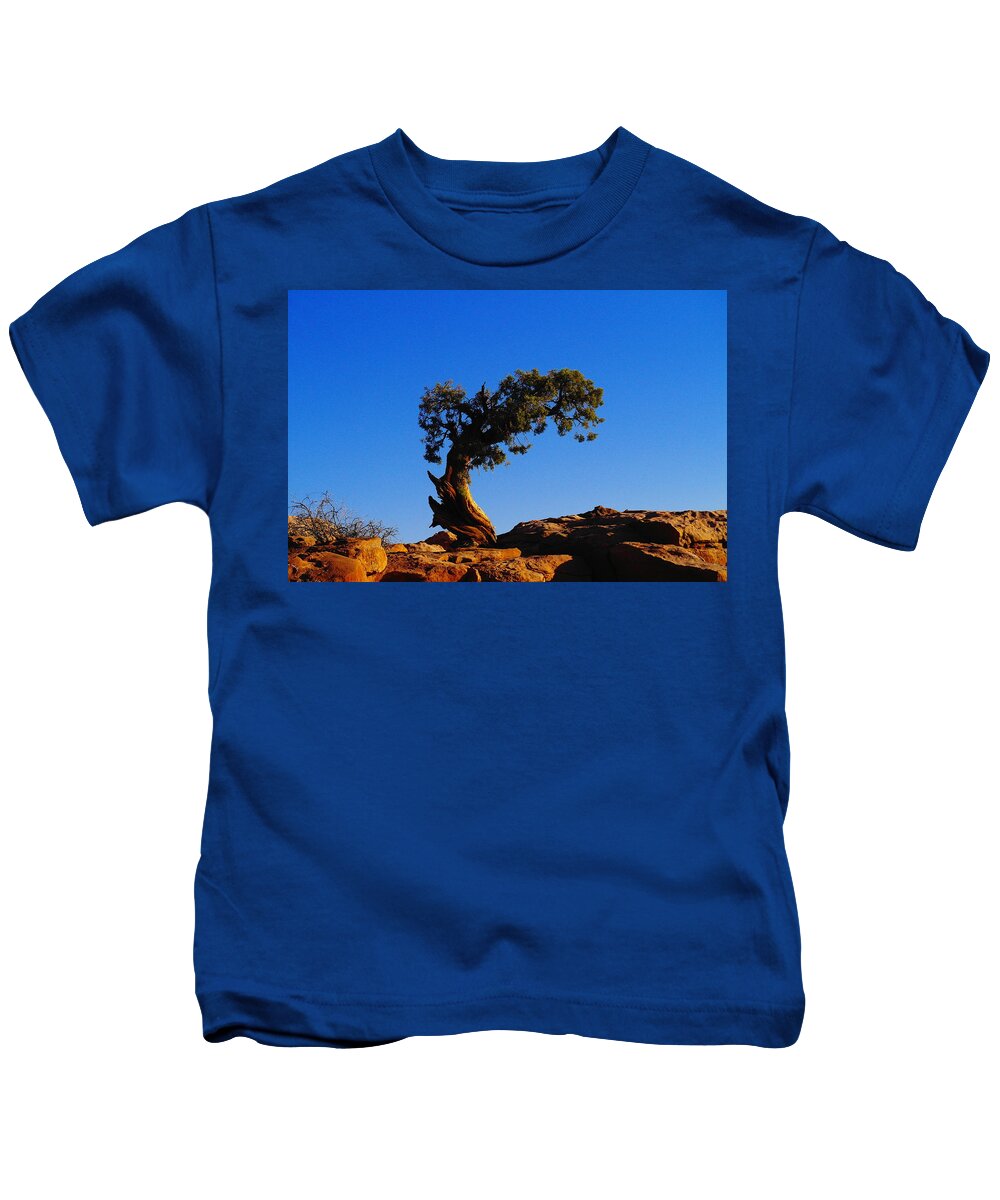 Trees Kids T-Shirt featuring the photograph Bent By The Wind by Jeff Swan