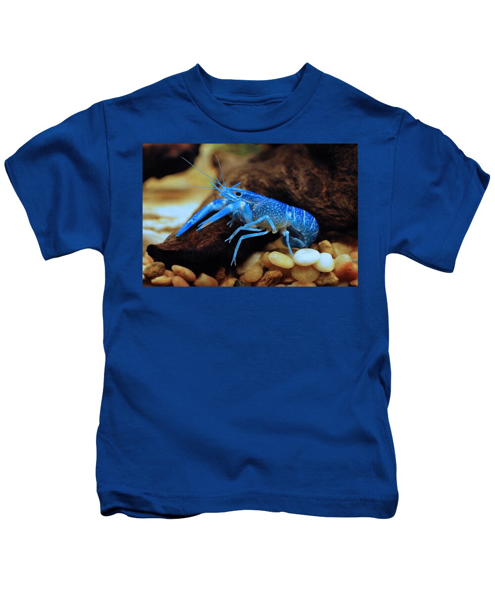 Astacus Astacus Kids T-Shirt featuring the photograph Cherax quadricarinatus by Dragan Kudjerski