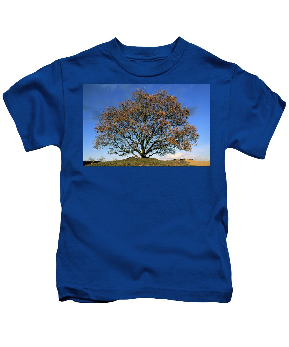 00282959 Kids T-Shirt featuring the photograph English Oak In Autumn by Flip De Nooyer