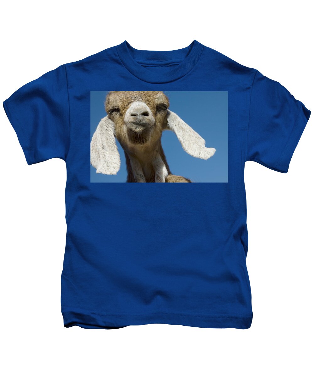 Goat Kids T-Shirt featuring the photograph Frankly My Dear I Don't Give A BAAAAAAAAA by Jerry McElroy