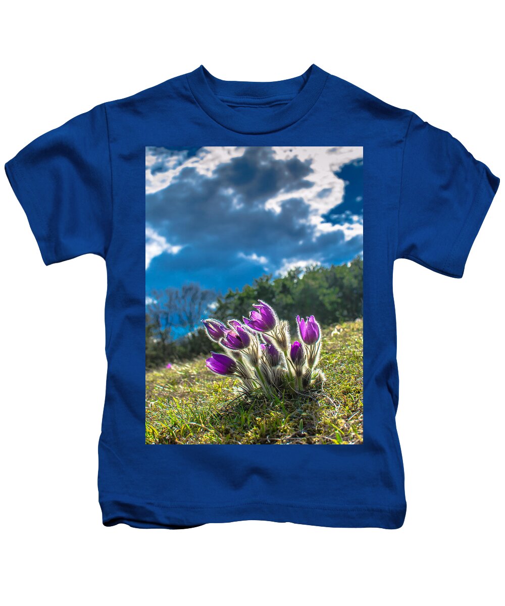 Flower Kids T-Shirt featuring the photograph Lady Of The Snows In The First Sunlight by Andreas Berthold