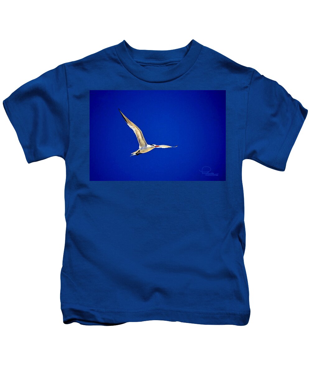 Bird Kids T-Shirt featuring the photograph Royal Tern 2 by Ludwig Keck