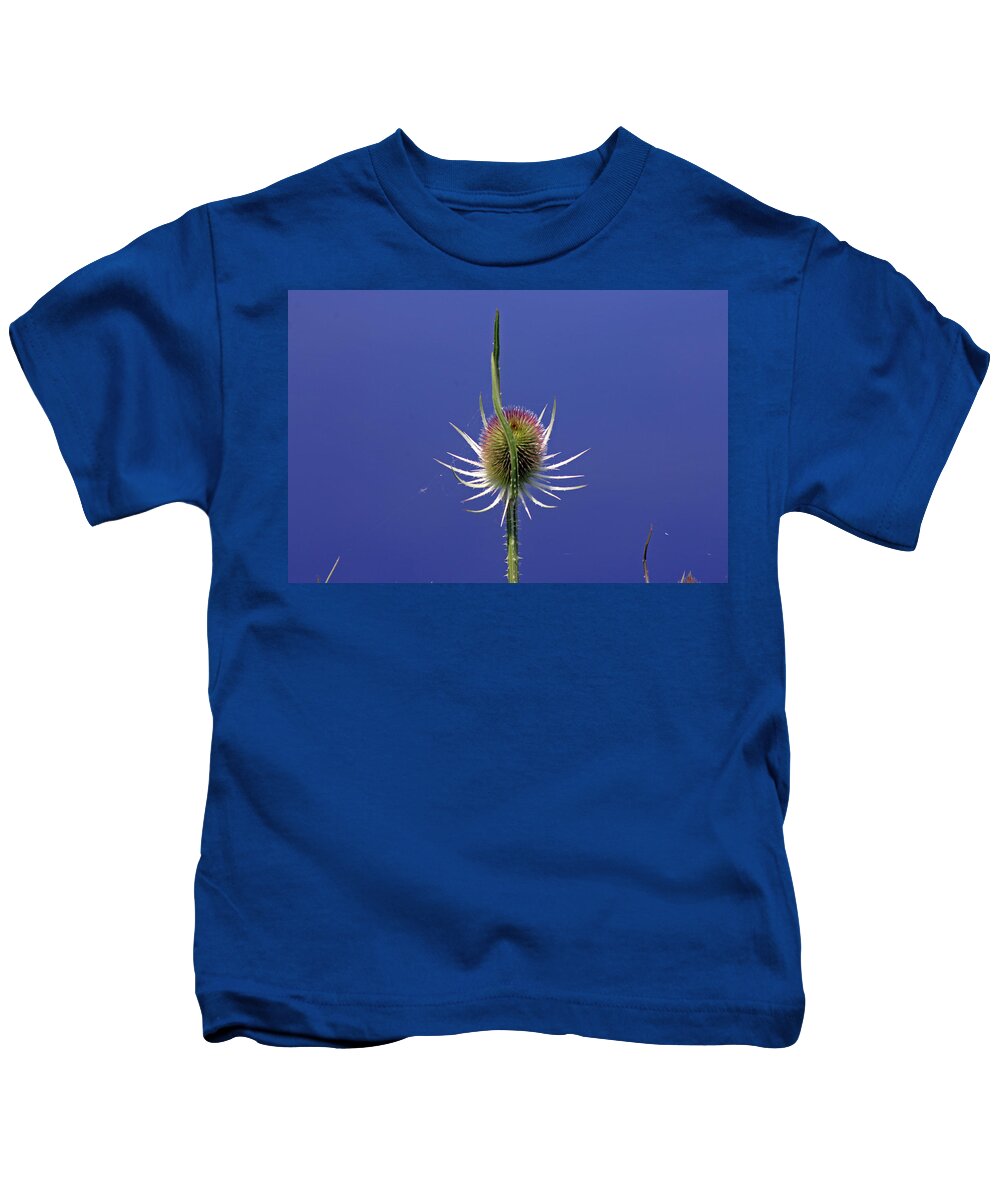Cotswolds Kids T-Shirt featuring the photograph Single Teasel by Tony Murtagh