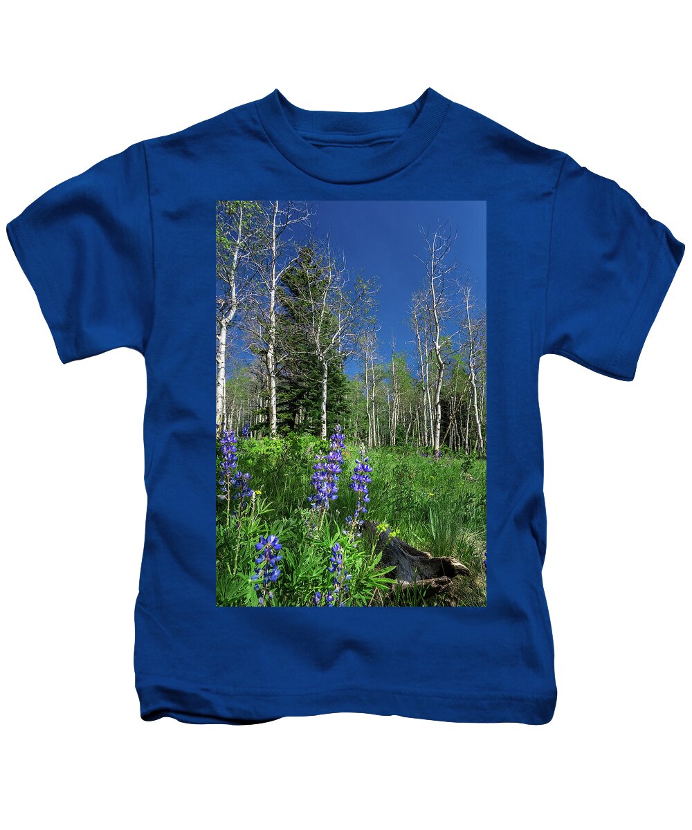 Aspens Kids T-Shirt featuring the photograph Aspens in the Rockies by Ron Pate