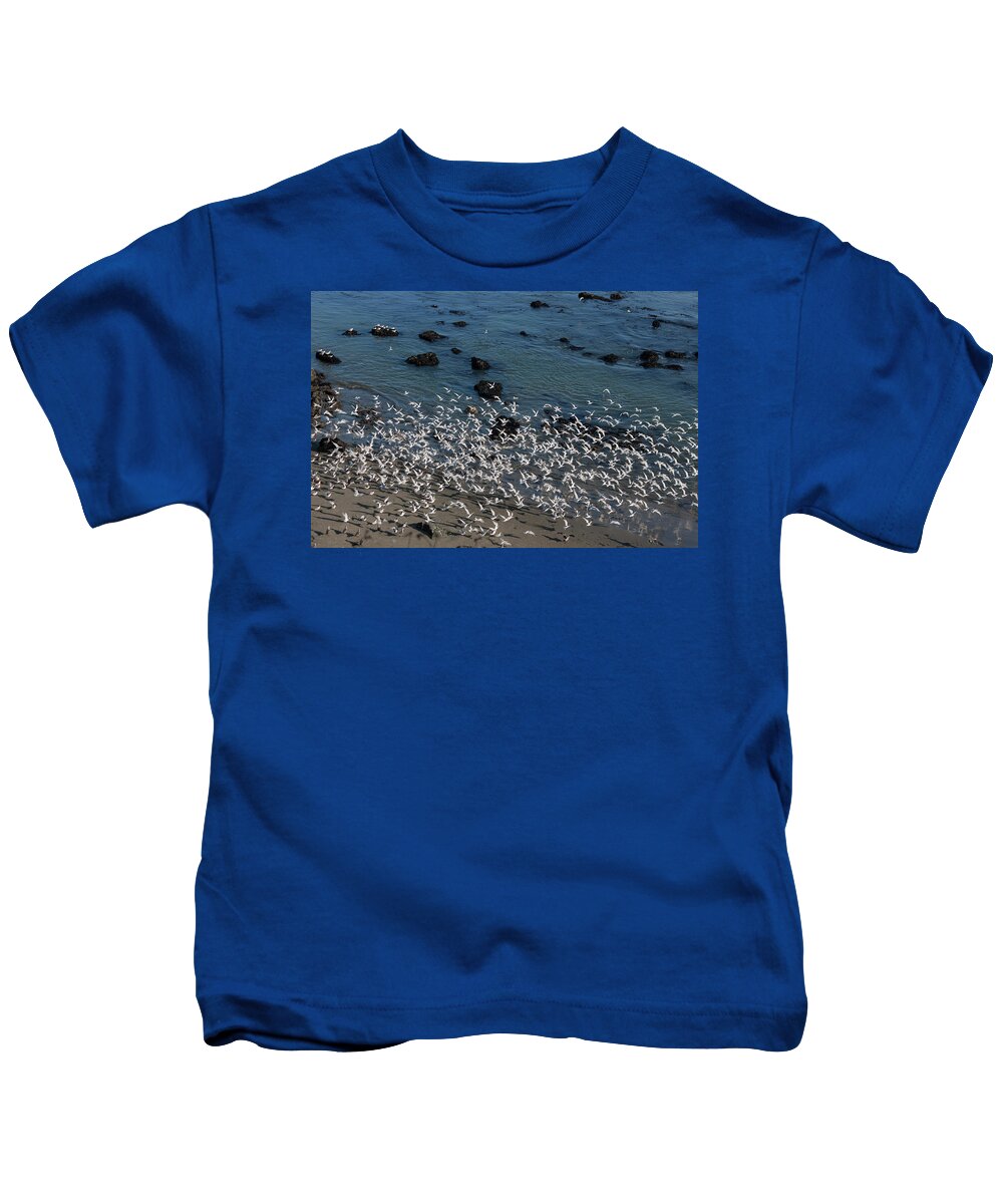 Photograph Kids T-Shirt featuring the photograph Elegant Terns in Flight by Suzanne Gaff