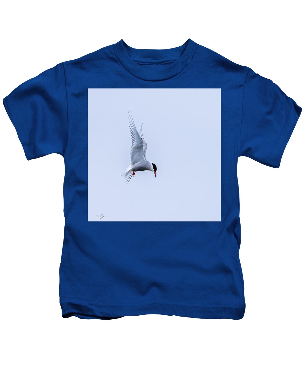 Hovering Arctric Tern Kids T-Shirt featuring the photograph Hovering Arctic Tern by Torbjorn Swenelius