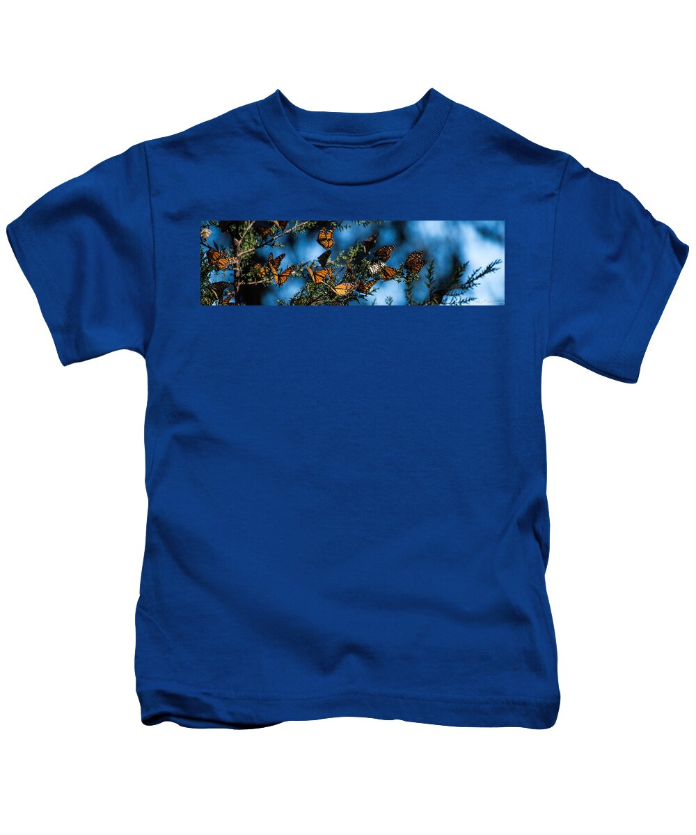 Butterflies Kids T-Shirt featuring the photograph Monarchs by Wendy Carrington
