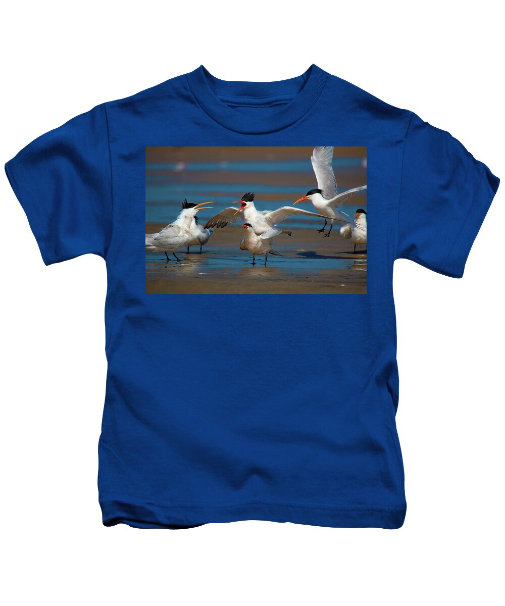Tern Kids T-Shirt featuring the photograph Tern Voyeurism by Brian Knott Photography