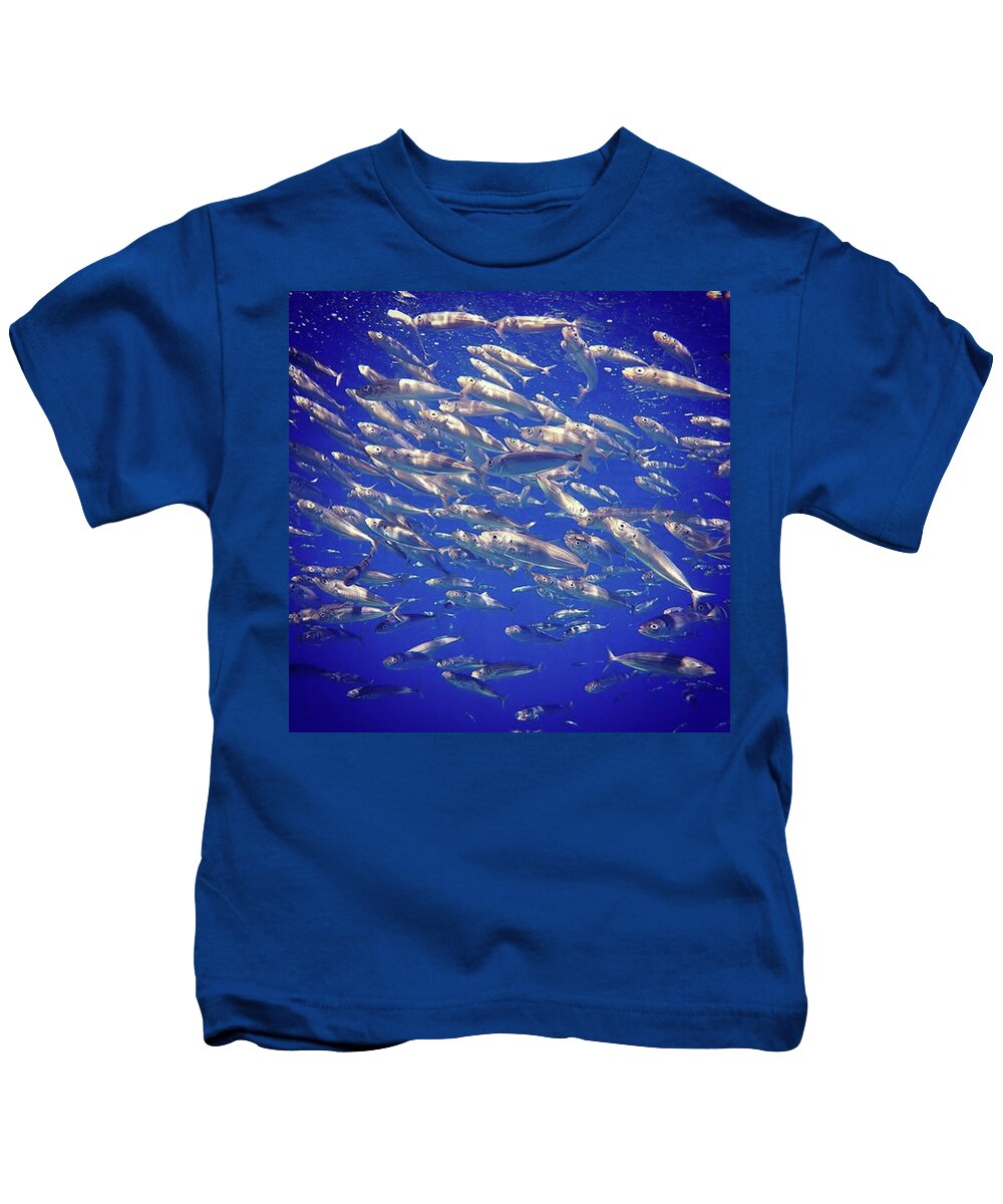 Fish Kids T-Shirt featuring the photograph The Mini-Mack by Elle Wanderluster