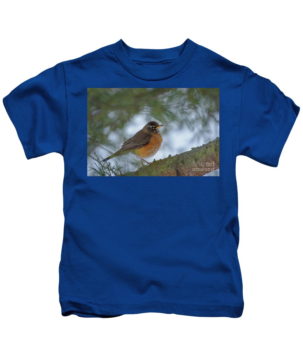 American Robin Kids T-Shirt featuring the photograph American Robin in Cedar Deodar Tree #2 by Nancy Gleason