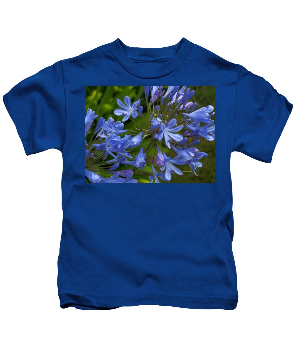 Botanical Kids T-Shirt featuring the photograph Blue Agapanthus by Richard Thomas
