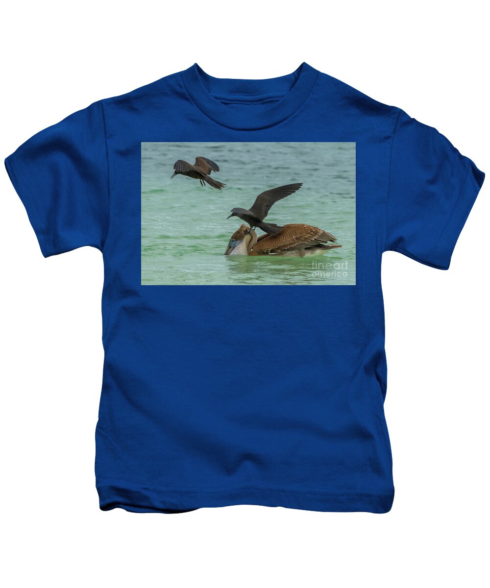 Ecuador Kids T-Shirt featuring the photograph Brown Pelican and Common Noddy Terns by Nancy Gleason