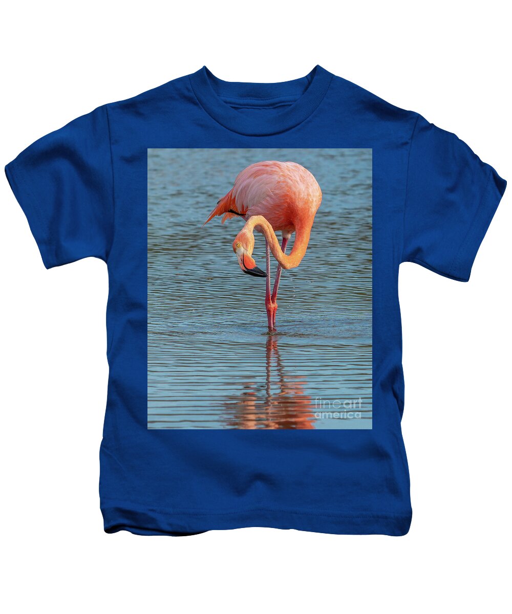 Ecuador Kids T-Shirt featuring the photograph Galapagos Greater Flamingo Makes a Splash by Nancy Gleason