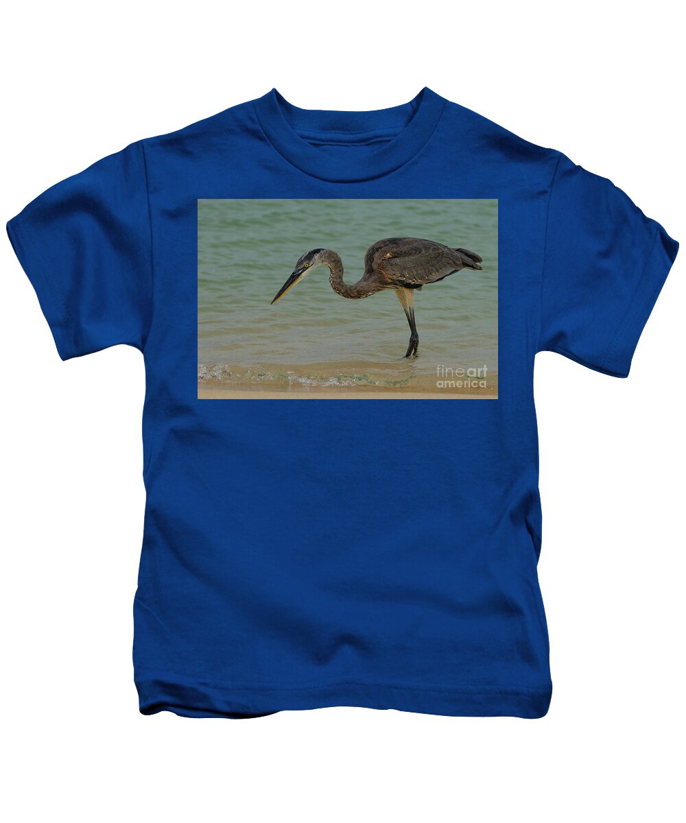 Ardea Herodias Cognata Kids T-Shirt featuring the photograph Great Blue Heron Fishing by Nancy Gleason