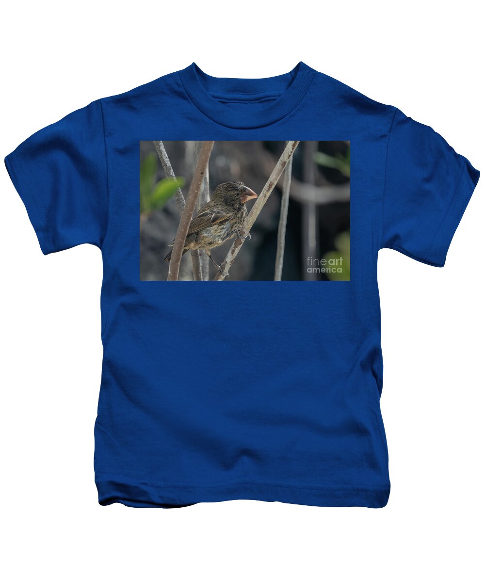 Ecuador Kids T-Shirt featuring the photograph Large Ground-finch of Genovesa by Nancy Gleason